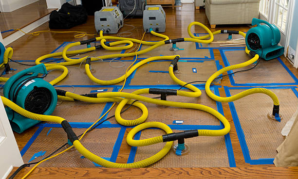 Professional Structural Drying And Dehumidification technician working in Five Points, CA